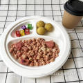 Compostable round bagasse plate 9